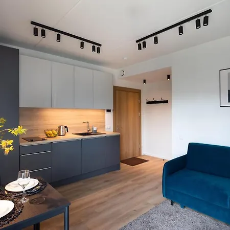 Strelnieku Street Quiet Studio Apartment Riga