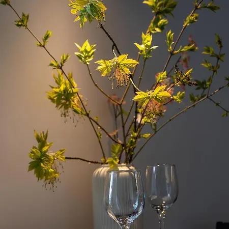 Strelnieku Street Quiet Studio Riga